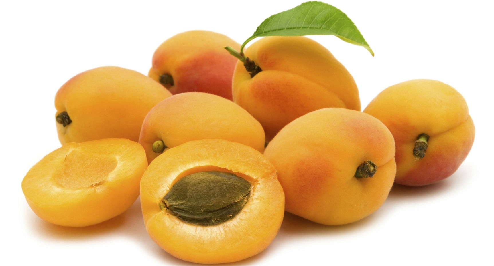 Image result for apricot images