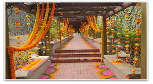 Marigold-flower-decoration