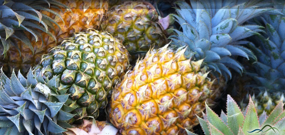 Ripe-Pineapple-Fruit