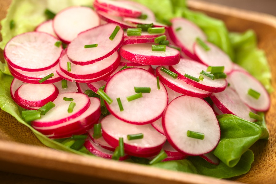 Radish slices in green salad
