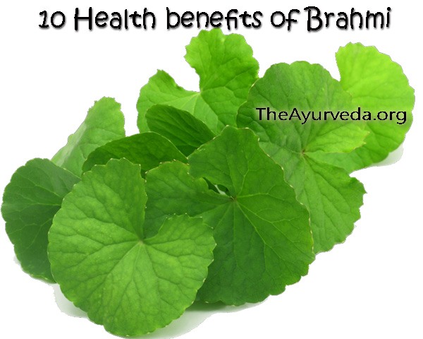 10 health benefits of brahmi