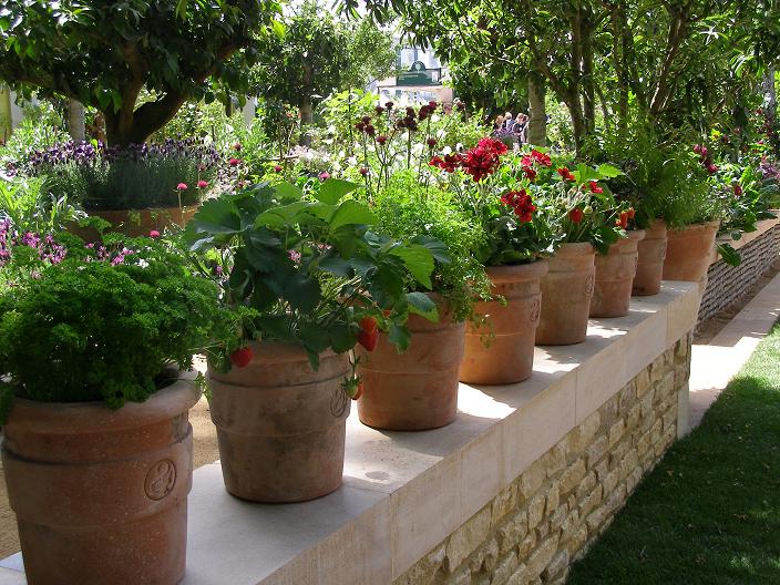 Kitchen garden with pots