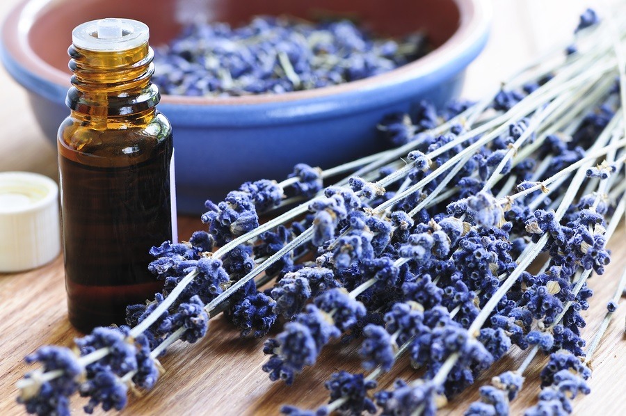 Lavender-oil-for-health-benefits