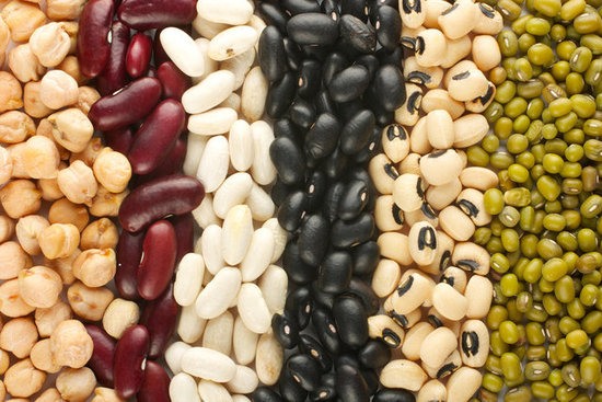 Protein rich beans