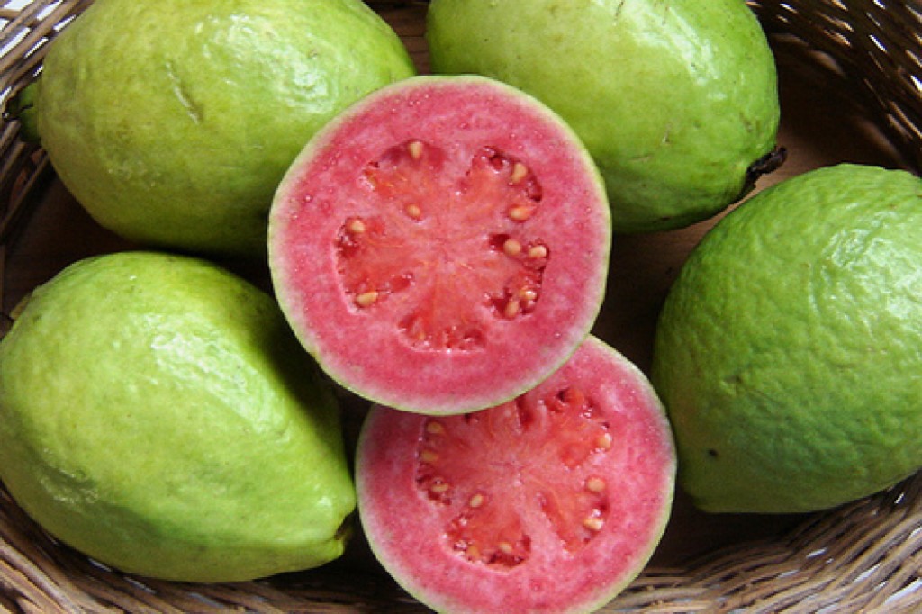 Ripe guava fruit