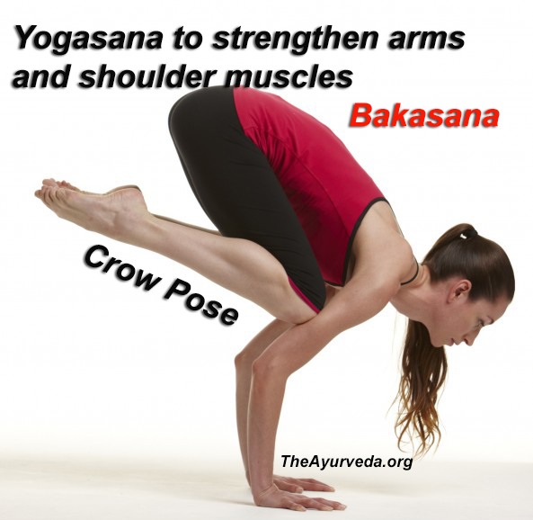 Yogasana to strengthen your arms and shoulder muscles-Bakasana