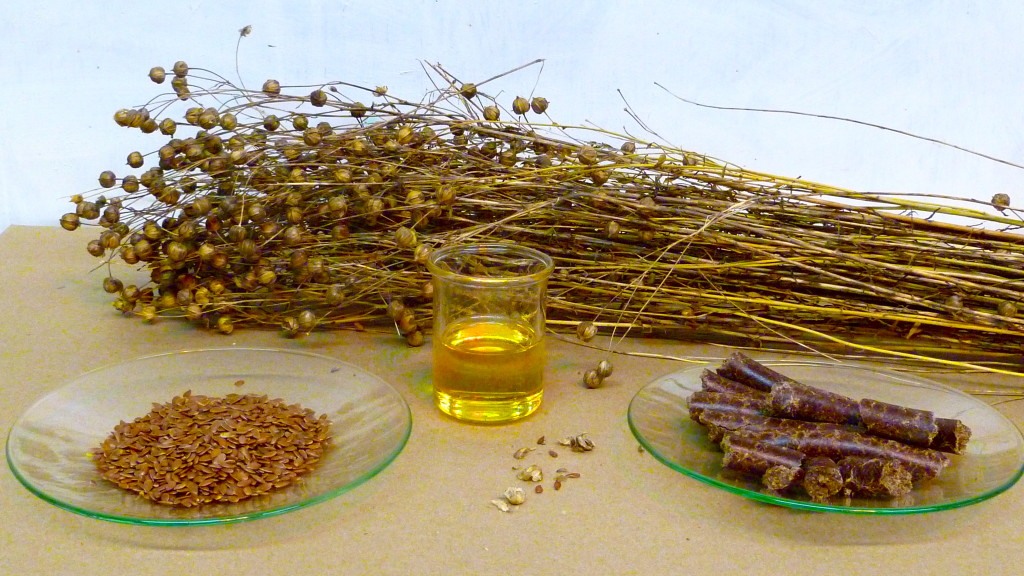 Linseed herb and oil