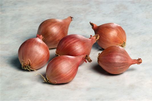Onion and shallots for health