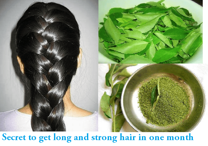 Curry leaves Remedy for long and strong Hairs
