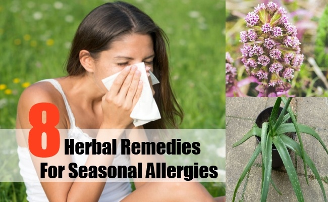 Herbal-Remedies-For-Seasonal-Allergies