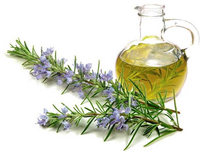 Rosemary infused oil