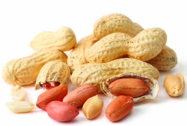 Healthy peanuts in Ayurveda