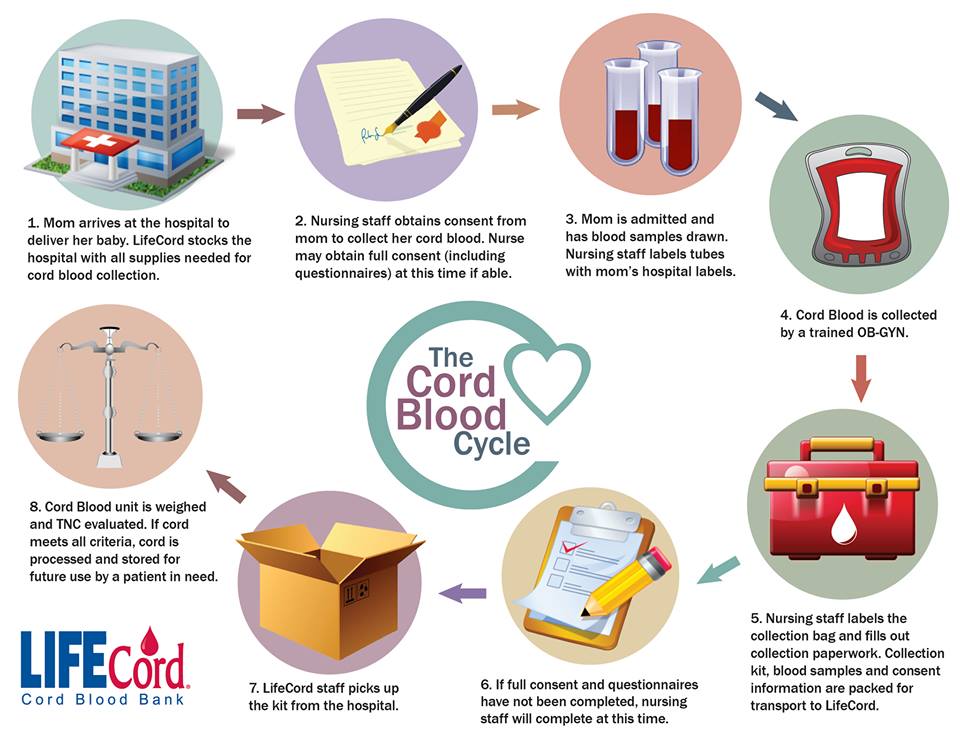 cord blood bank cycle