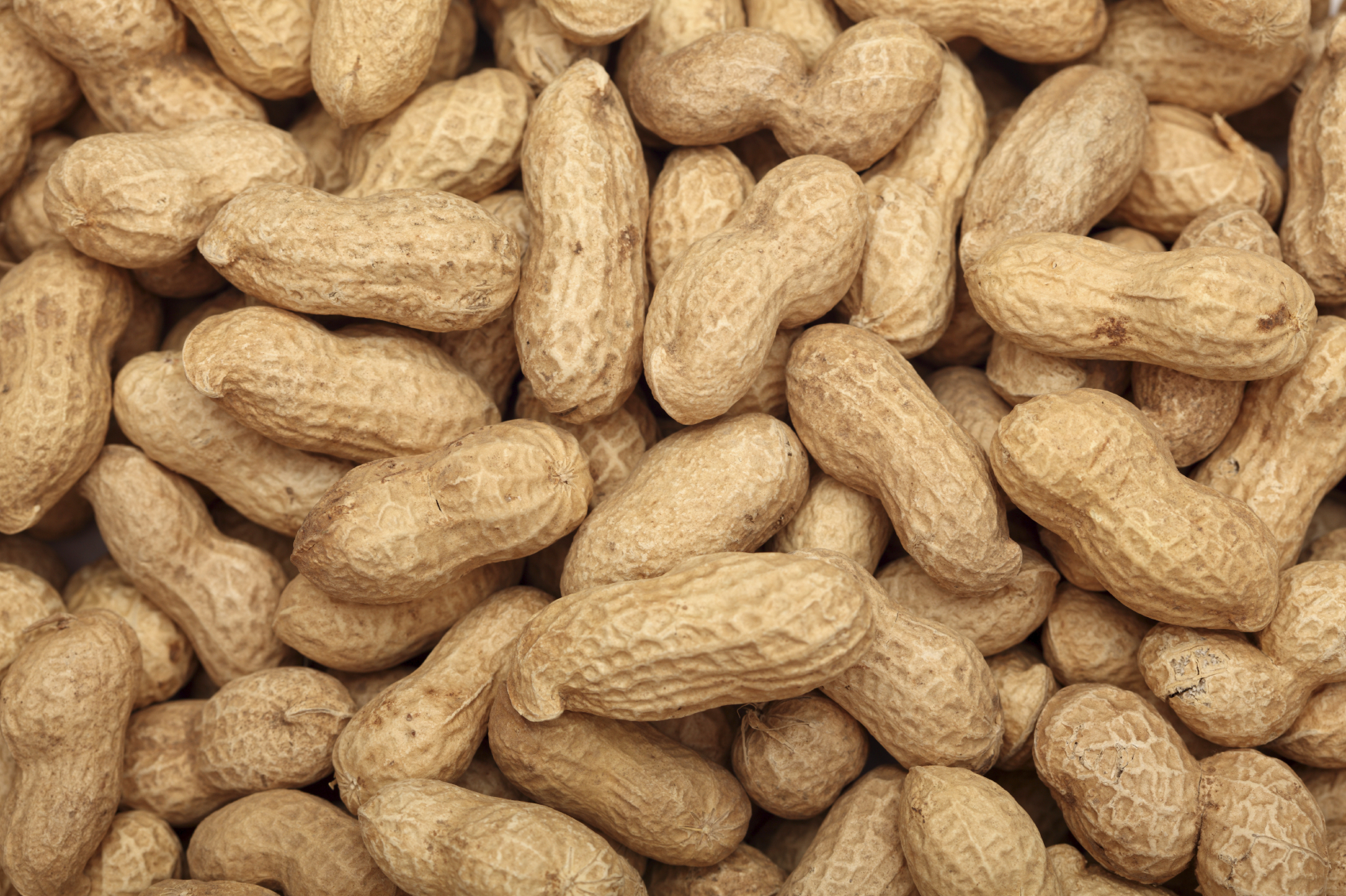 groundnuts or peanuts inside the husk
