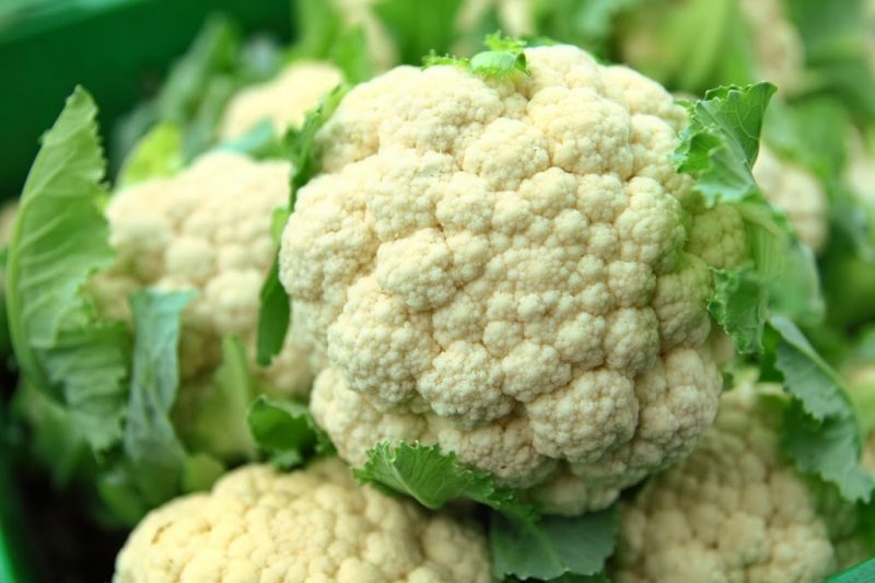 cauliflower vegetable