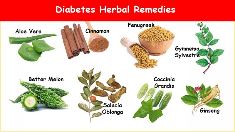 herbs to lower blood sugar level