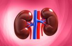 healthy kidney routine