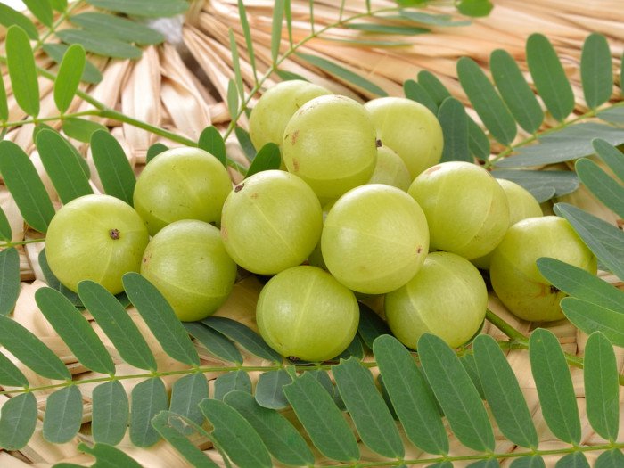 amla fruit for health
