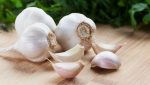 garlic-for-pancreas