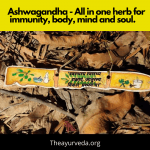 Ashwagandha benefits_ All in herb for immunity, body, mind and soul.