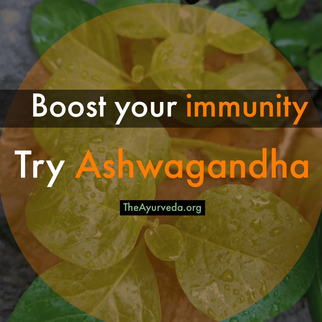 ashwagandha health benefits