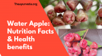 Water Apple_ Nutrition Facts & Health benefits