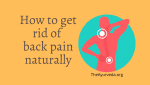 back-pain-cure