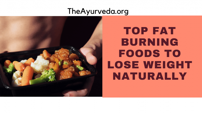 top fat burning foods