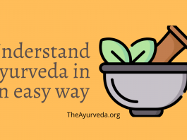 understanding ayurveda easy way