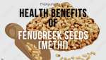 fenugreek-seeds-health-benefits