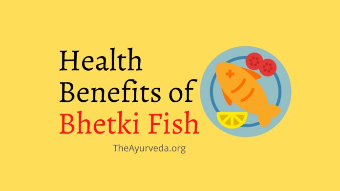 health benefits of bhetki fish
