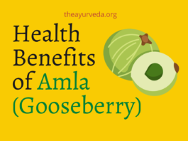 health benefits of amla
