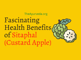 custard apple or sitaphal