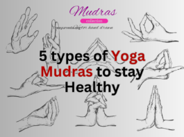 5 types of Yoga Mudras to stay Healthy