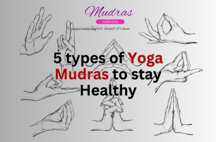 5 types of Yoga Mudras to stay Healthy