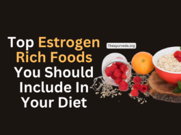 top estrogen rich foods